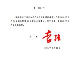 国务院关于涉外知识产权纠纷处理的规定